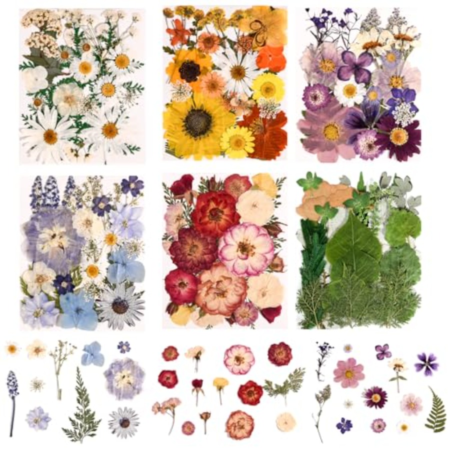 Resin Jewelry Kit - 6 Pack 150PCS Real Pressed Dried
