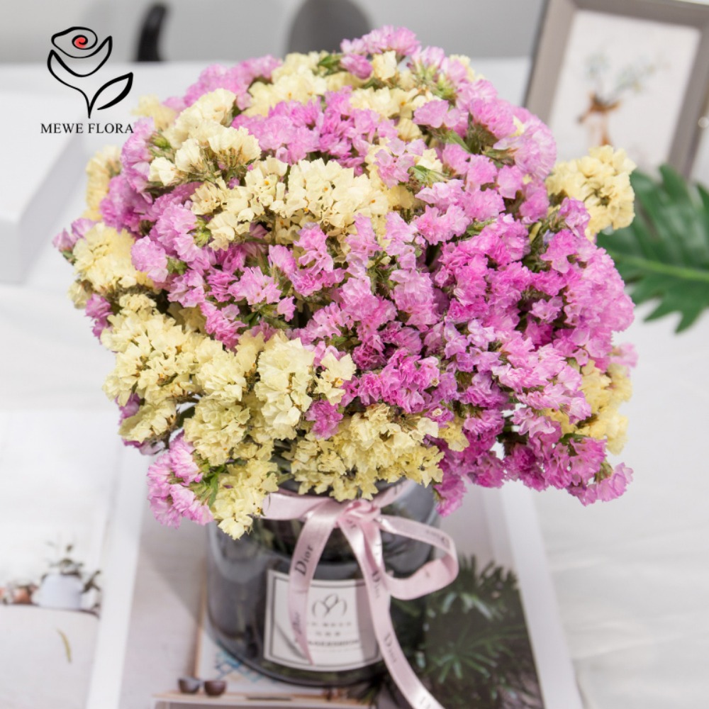 Dried Flower Bulk - 100g Dried Forget Me Not Flowers