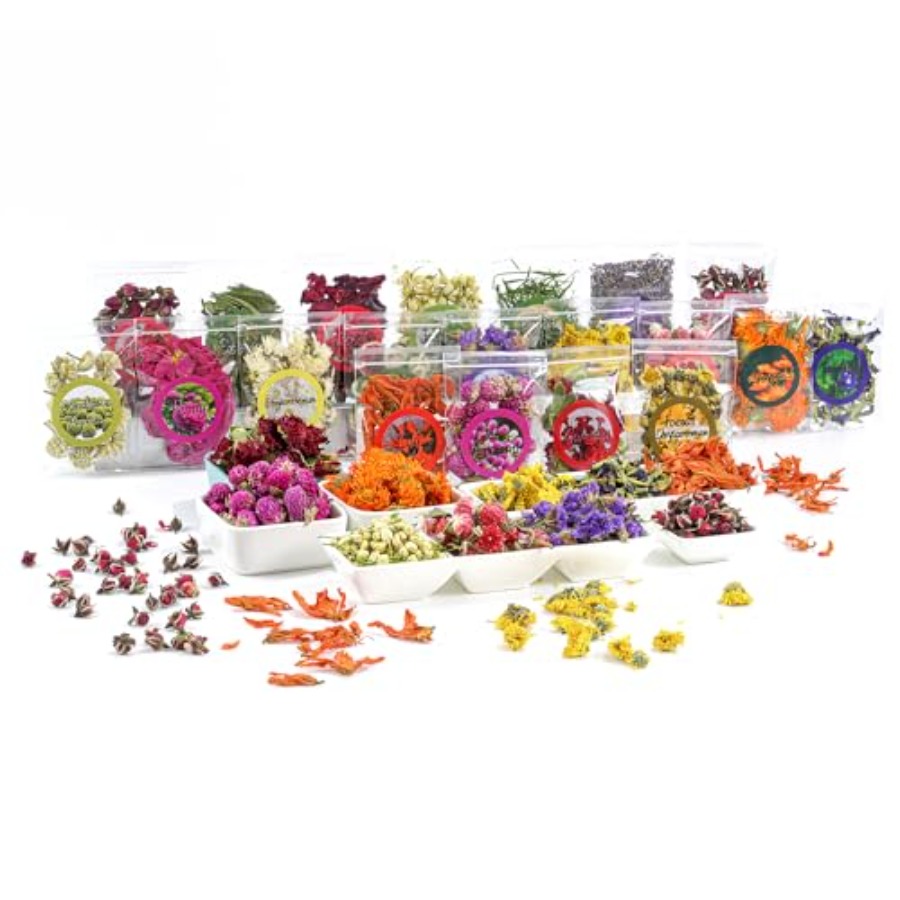 Resin Jewelry Kit - Natural Dried Fruit and Flower Kit