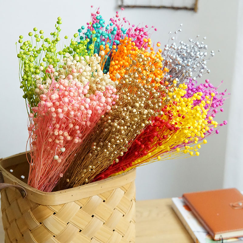 35g/Preserved Ormosia Hosiei N - Dried Flower Bulk incelemesi ve fiyatı