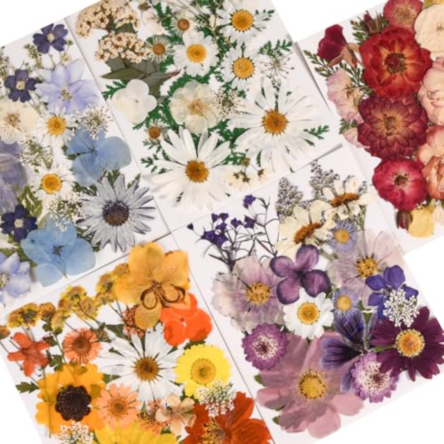 6 Pack 150PCS Real Pressed Dri - Resin Jewelry Kit incelemesi ve fiyatı