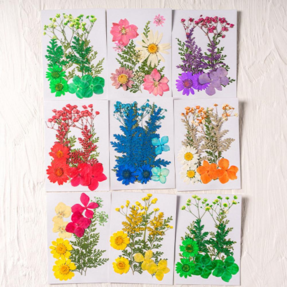 Dried Flower Bouquet Premium D - Dried Flower Bulk incelemesi ve fiyatı