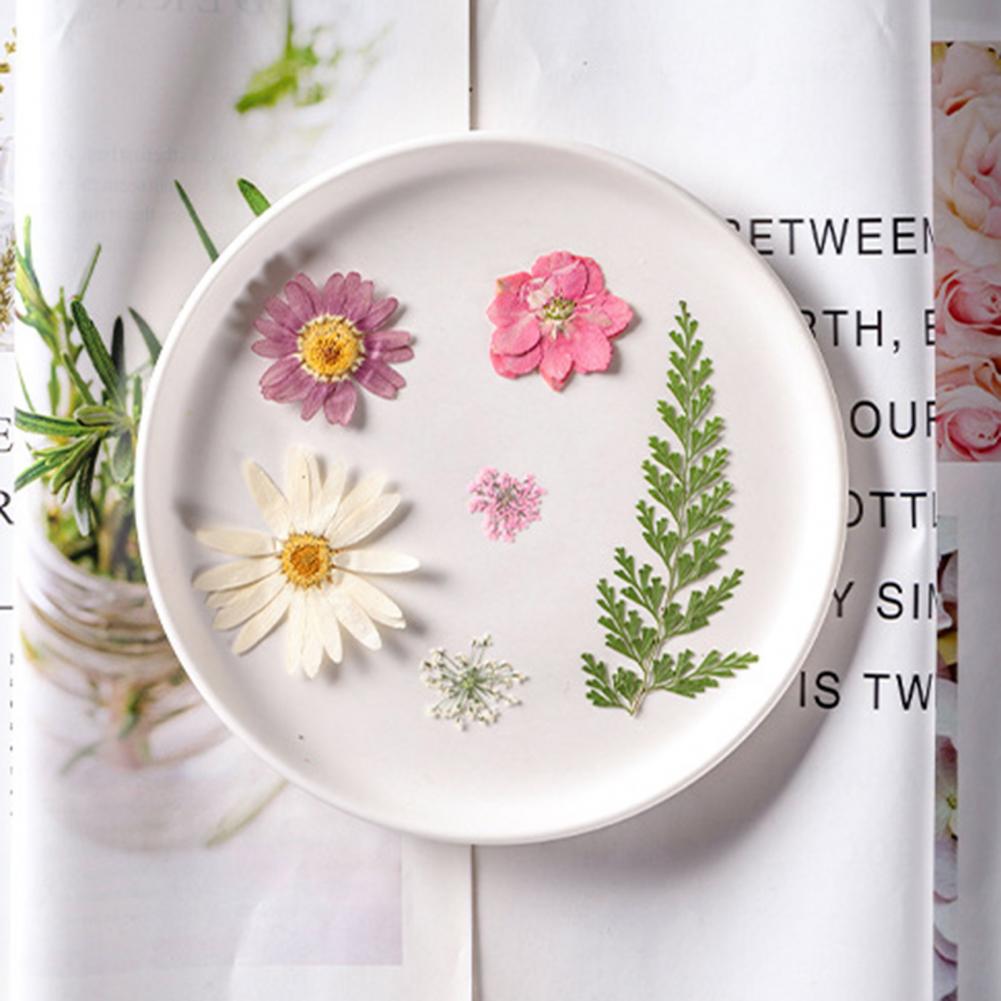 Dried Flower Bouquet Premium D - Dried Flower Bulk incelemesi ve fiyatı