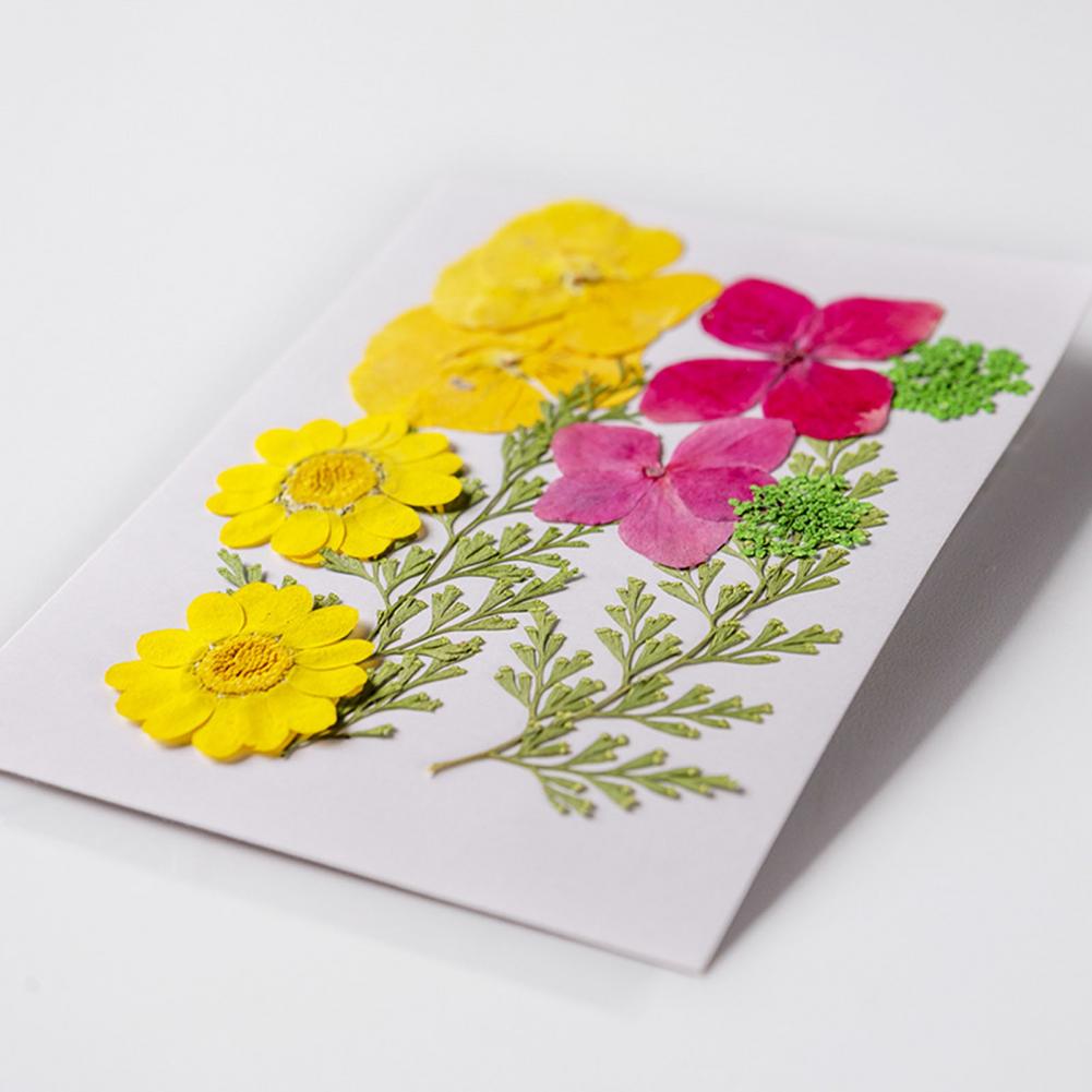 Dried Flower Bouquet Premium D - Dried Flower Bulk incelemesi ve fiyatı
