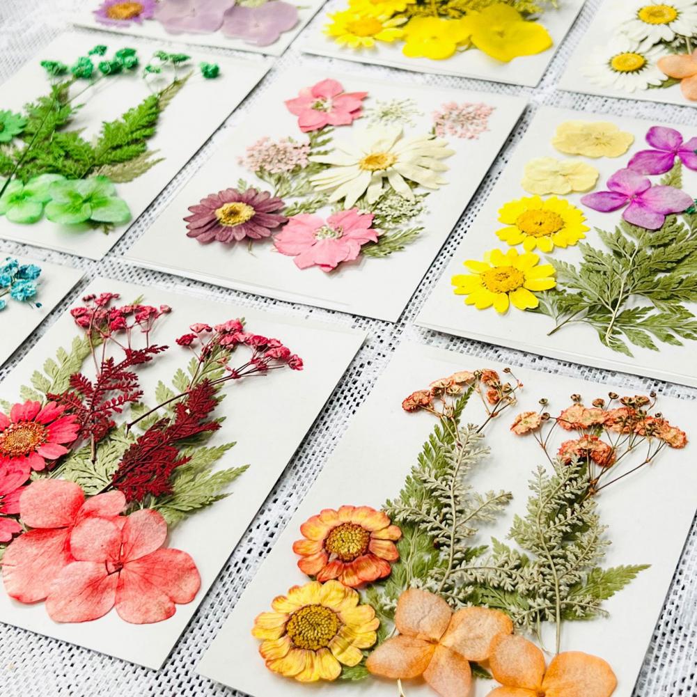 Dried Flower Bouquet Premium D - Dried Flower Bulk incelemesi ve fiyatı