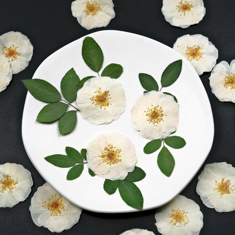 6pcs,9pcs,Nature White Rose Pr - Dried Flower Bulk incelemesi ve fiyatı