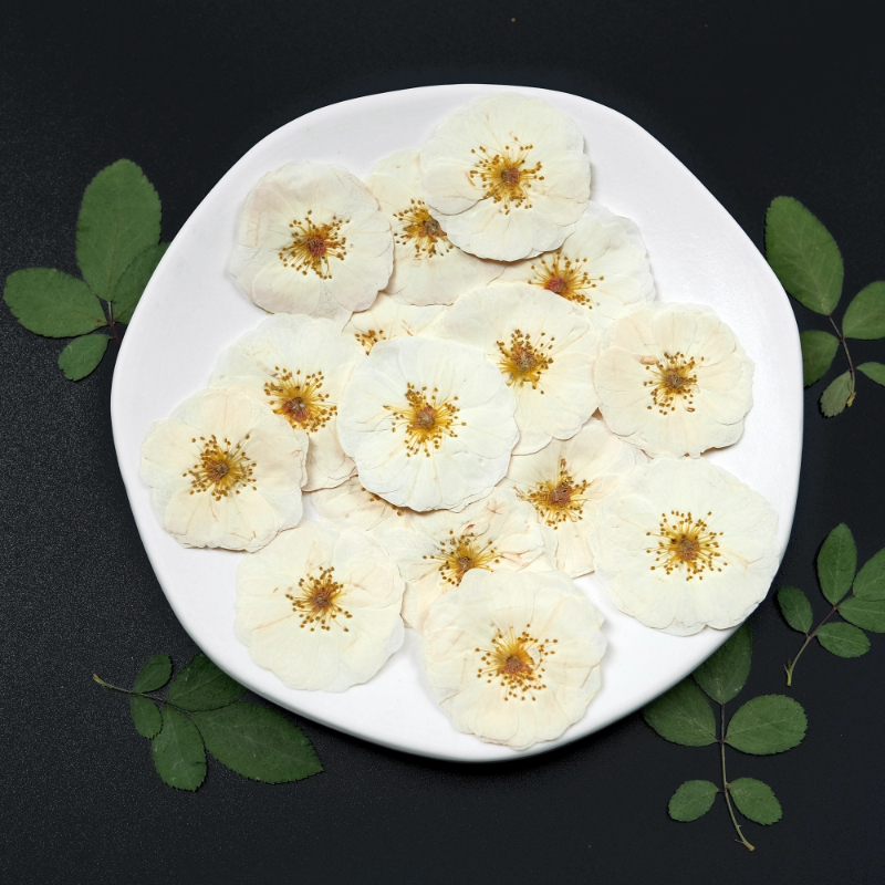 6pcs,9pcs,Nature White Rose Pr - Dried Flower Bulk incelemesi ve fiyatı