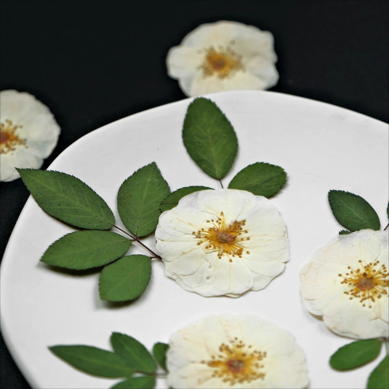 6pcs,9pcs,Nature White Rose Pr - Dried Flower Bulk incelemesi ve fiyatı