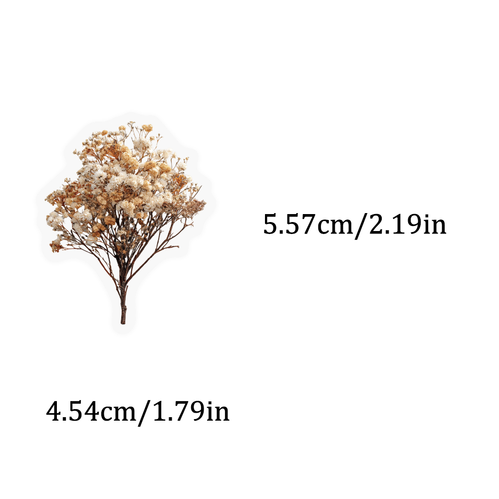 50PCS Retro Color Dried Flower - Dried Flower Bulk incelemesi ve fiyatı