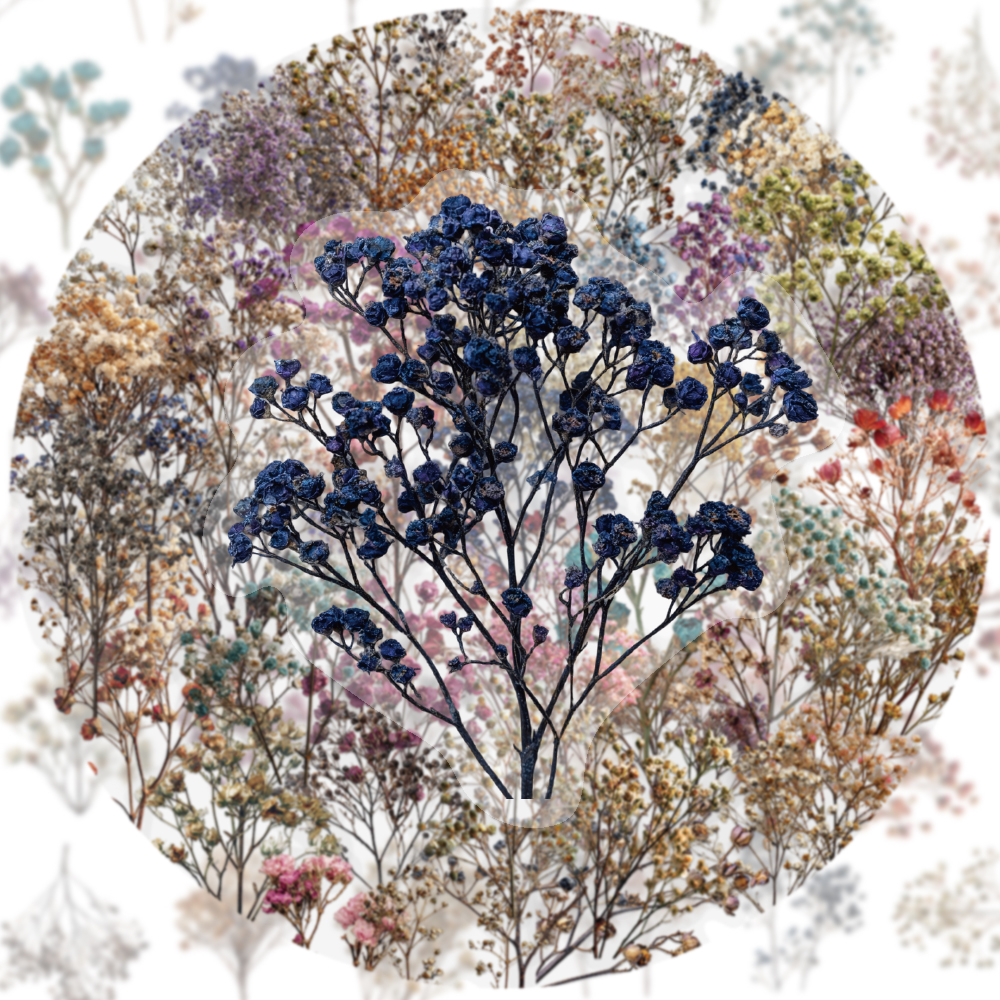 50PCS Retro Color Dried Flower - Dried Flower Bulk incelemesi ve fiyatı
