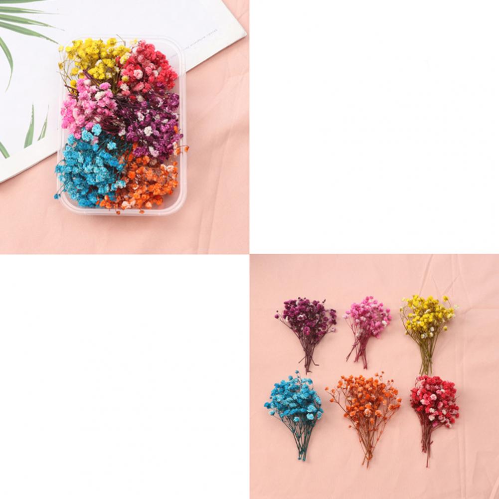 Natural Flowers Diy Dried Flow - Dried Flower Bulk incelemesi ve fiyatı