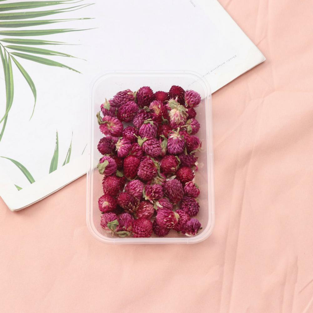 Natural Flowers Diy Dried Flow - Dried Flower Bulk incelemesi ve fiyatı