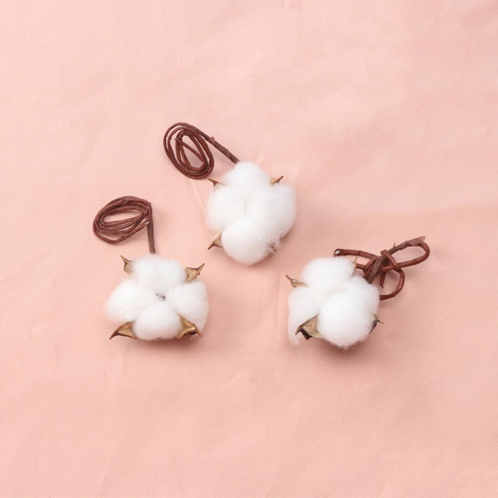 Natural Flowers Diy Dried Flow - Dried Flower Bulk incelemesi ve fiyatı