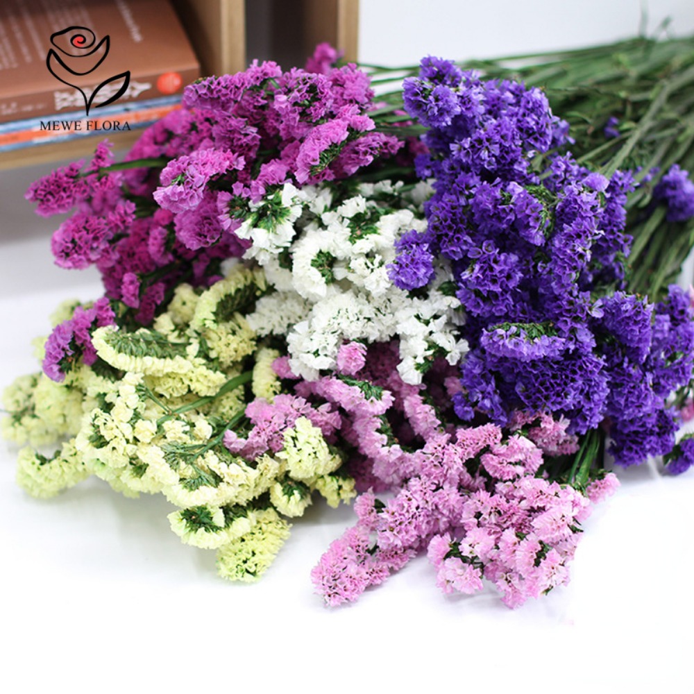 100g Dried Forget Me Not Flowe - Dried Flower Bulk incelemesi ve fiyatı