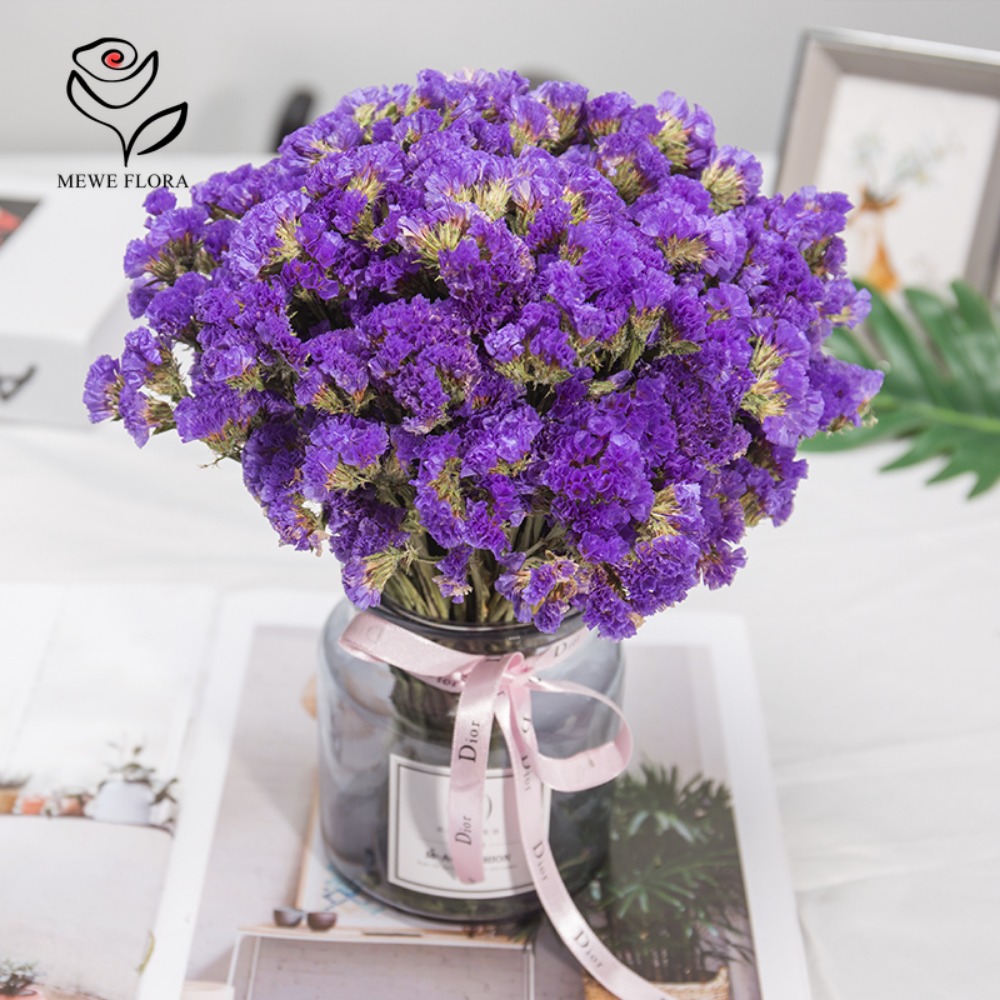 100g Dried Forget Me Not Flowe - Dried Flower Bulk incelemesi ve fiyatı