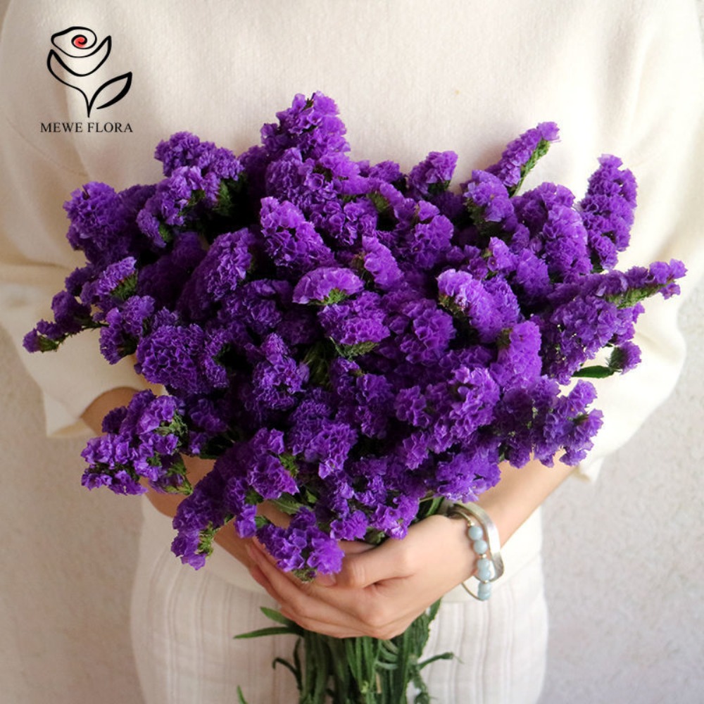 100g Dried Forget Me Not Flowe - Dried Flower Bulk incelemesi ve fiyatı