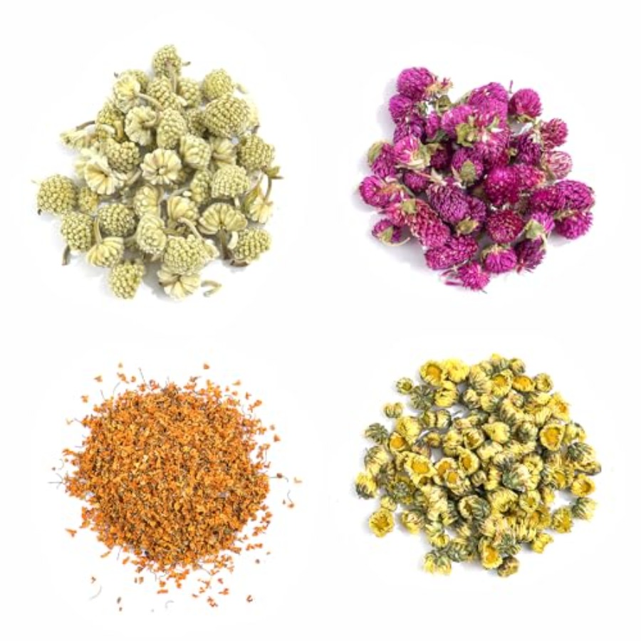 Natural Dried Fruit and Flower - Resin Jewelry Kit incelemesi ve fiyatı