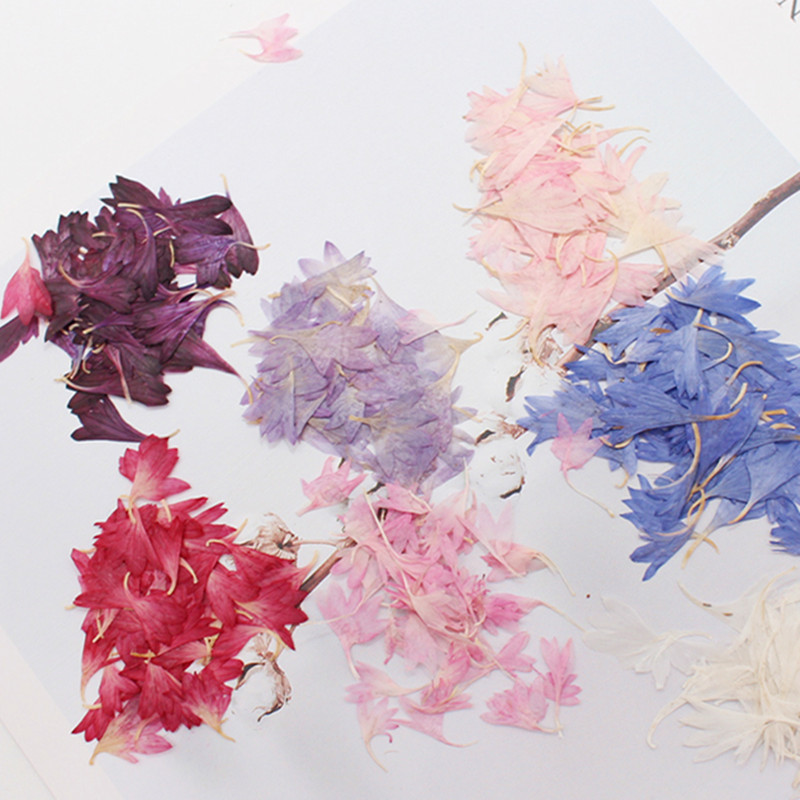 20 Plant Specimens, Cornflower - Resin Jewelry Kit incelemesi ve fiyatı