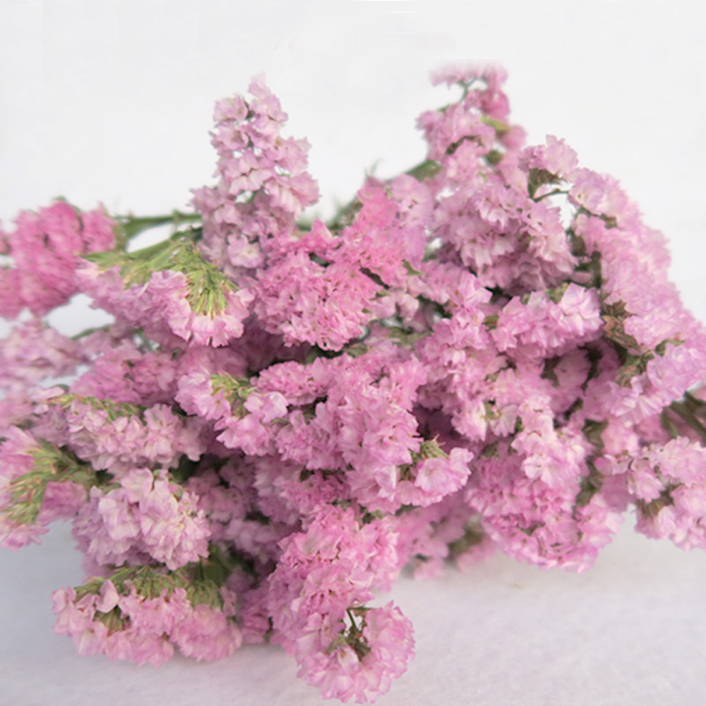 Pink color dried natural flowe - Dried Flower Bulk incelemesi ve fiyatı