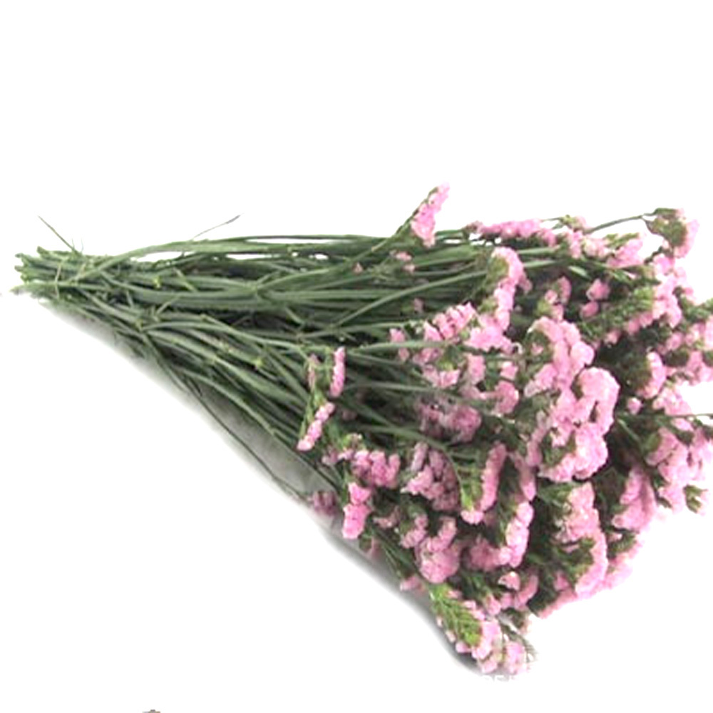 Pink color dried natural flowe - Dried Flower Bulk incelemesi ve fiyatı