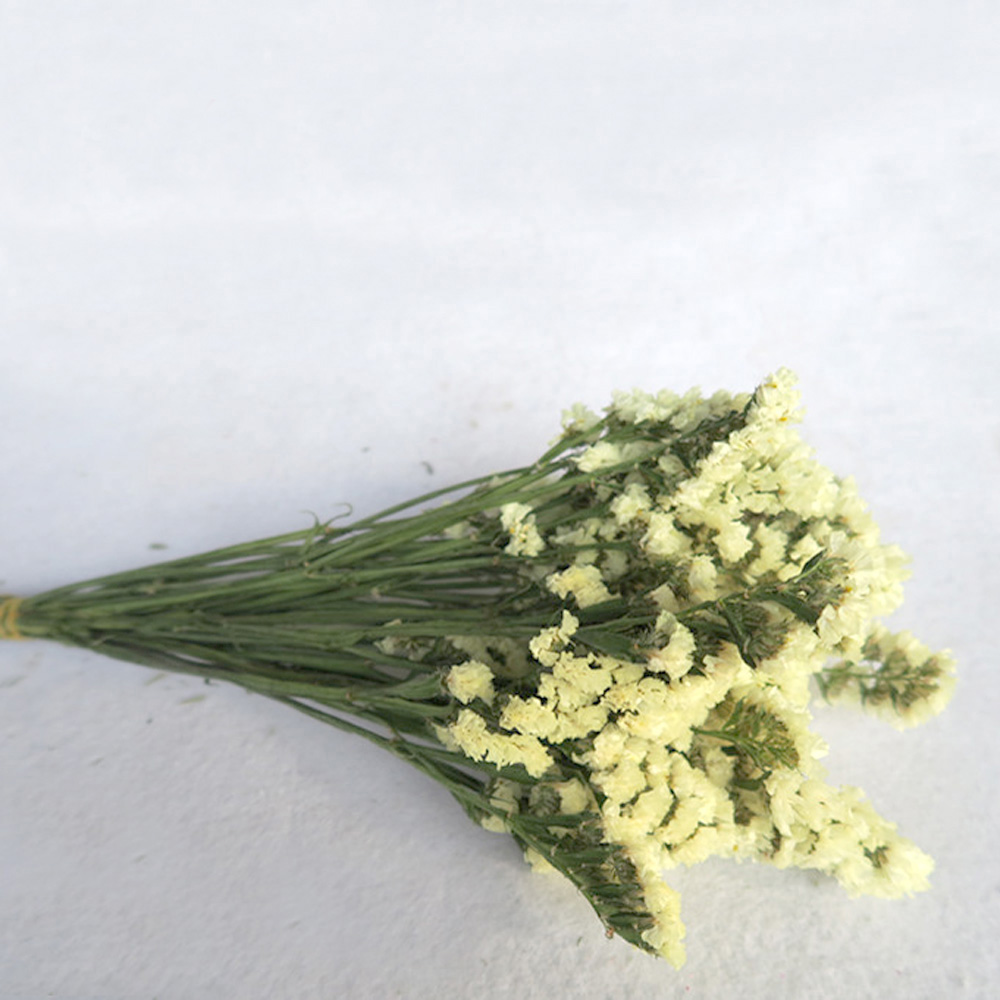 Pink color dried natural flowe - Dried Flower Bulk incelemesi ve fiyatı