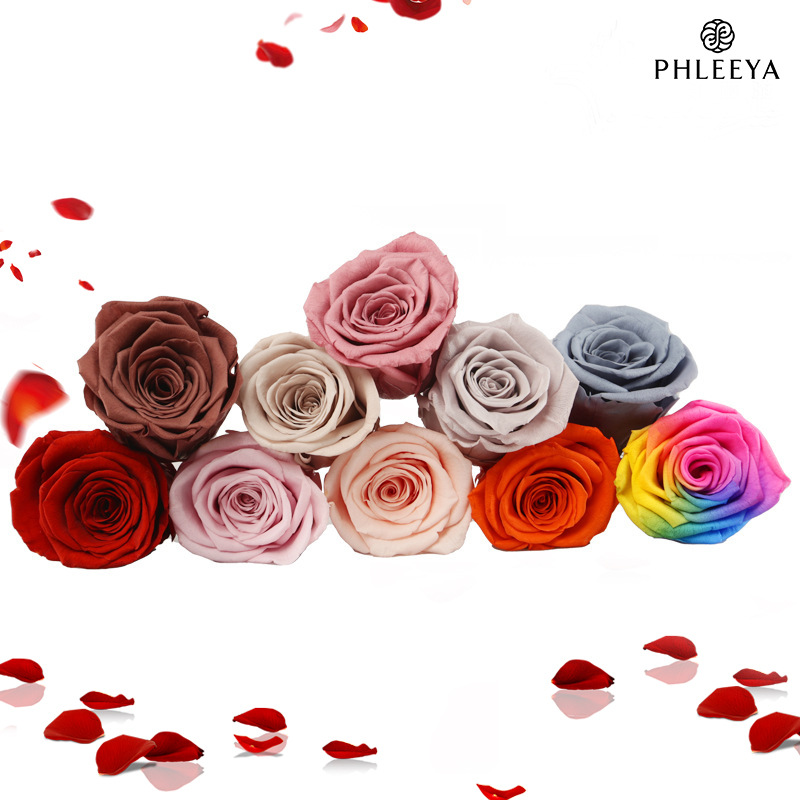 6pcs Eternal Rose Flower Heads - Dried Flower Bulk incelemesi ve fiyatı