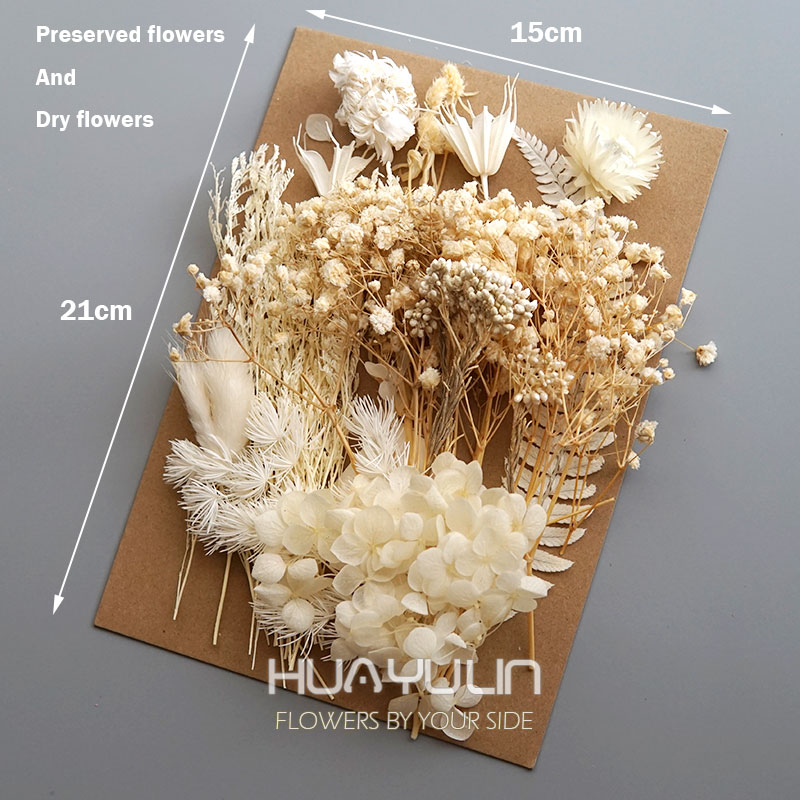 1 Pack Artificial Plants Dried - Dried Flower Bulk incelemesi ve fiyatı