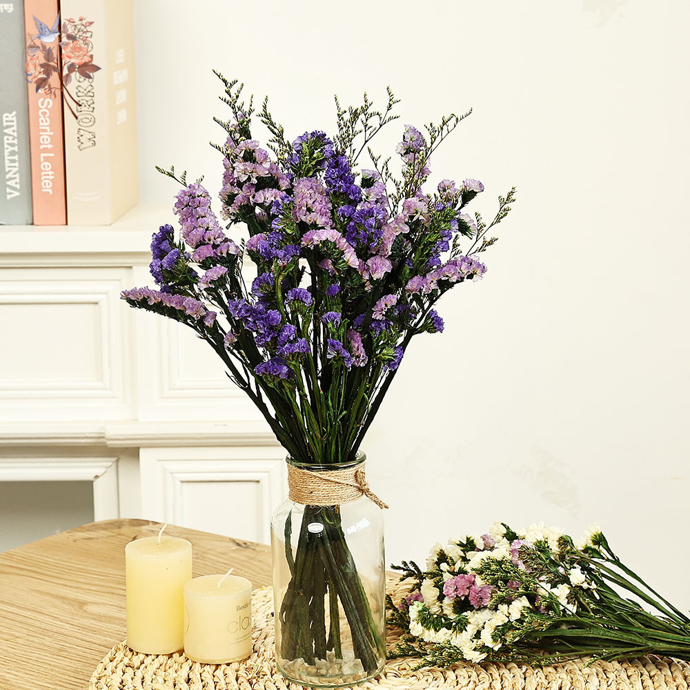 100g Natural Real Forget-me-no - Dried Flower Bulk incelemesi ve fiyatı