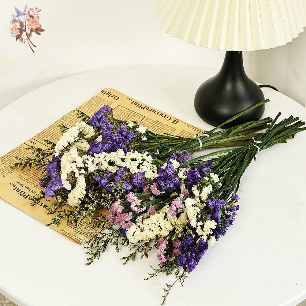 100g Natural Real Forget-me-no - Dried Flower Bulk incelemesi ve fiyatı