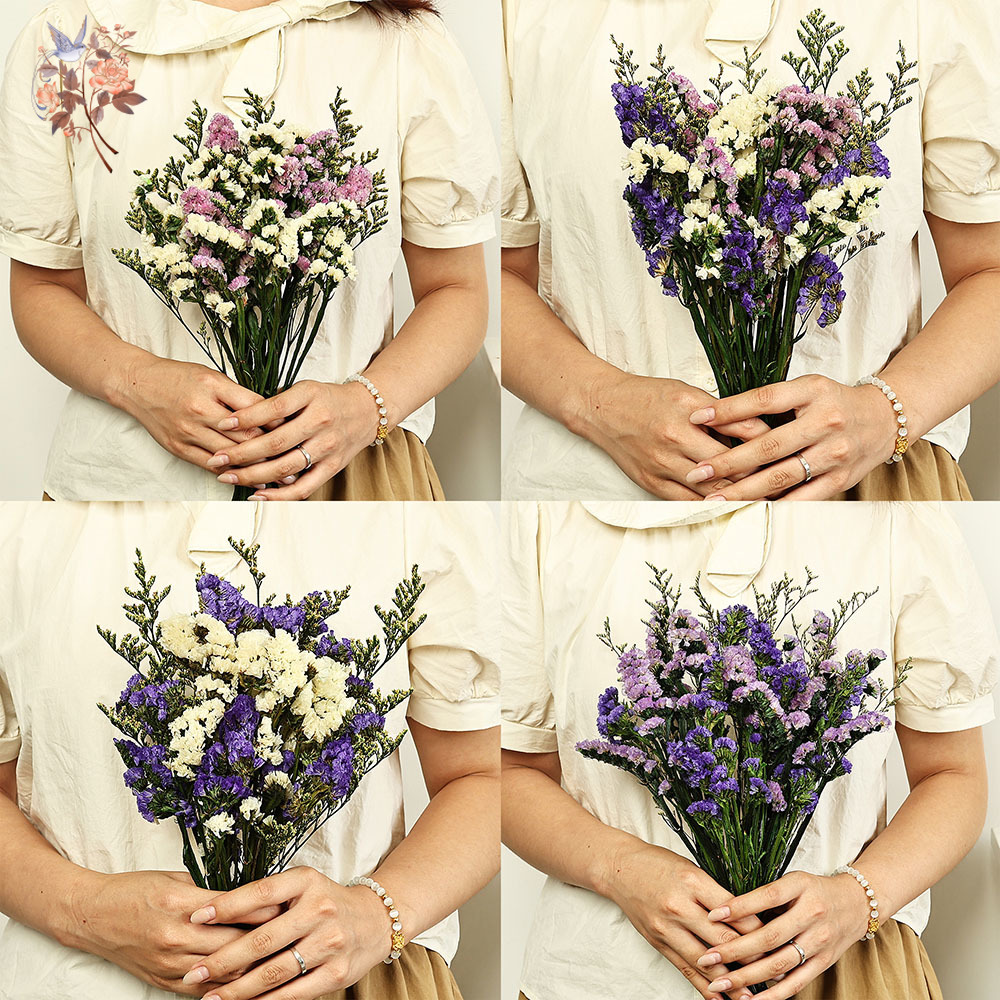100g Natural Real Forget-me-no - Dried Flower Bulk incelemesi ve fiyatı