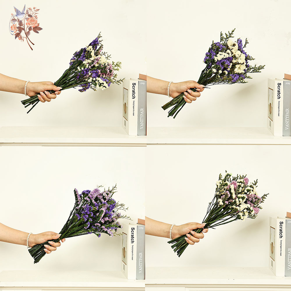 100g Natural Real Forget-me-no - Dried Flower Bulk incelemesi ve fiyatı